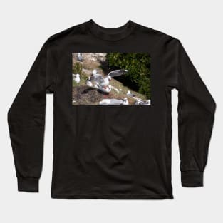 Seagull colony. Long Sleeve T-Shirt